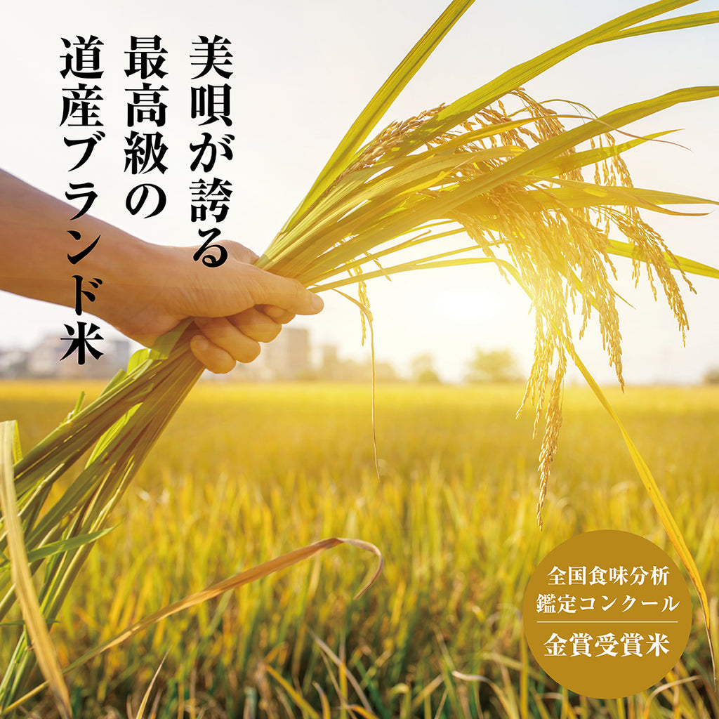 北海道美唄産おぼろづき10kg（白米・玄米）