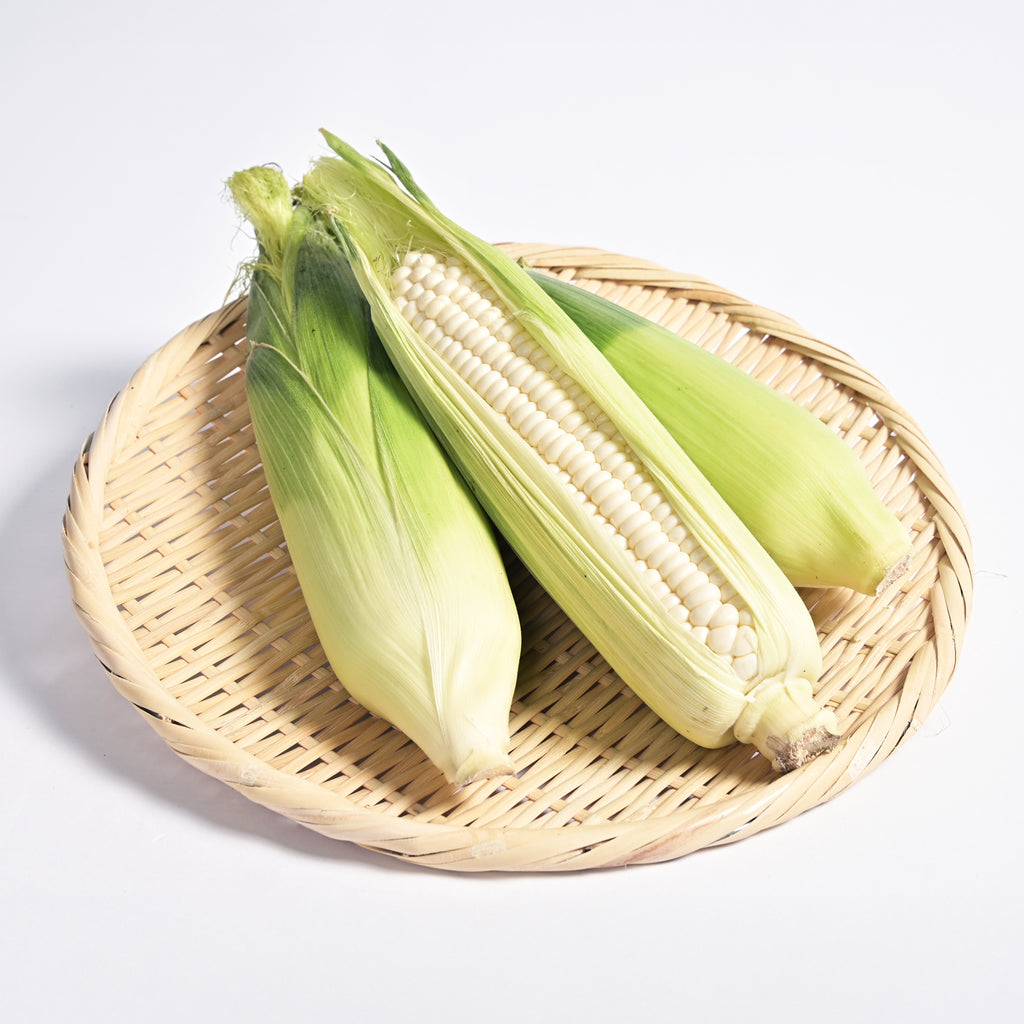 FORTIUS×INAZO　白いとうもろこしセット【送料無料】