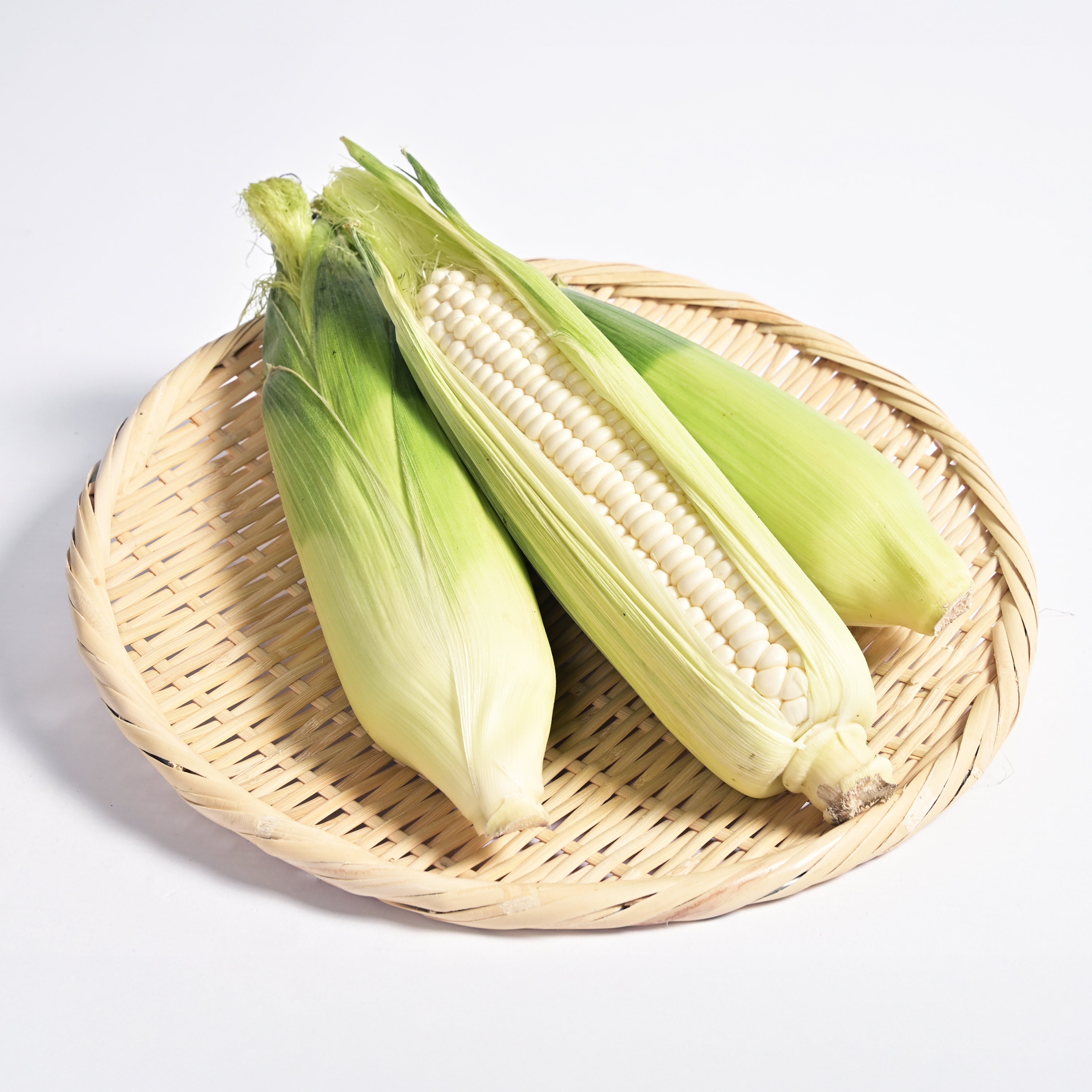 FORTIUS×INAZO　白いとうもろこしセット【送料無料】