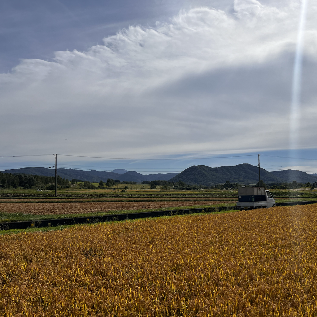 FORTIUS×INAZO　フォルティウス米 北海道赤井川村ななつぼし【送料無料】